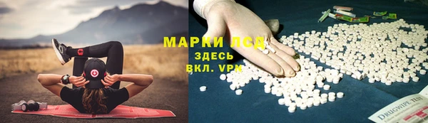эйфоретик Богданович