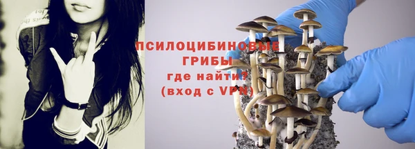 MDMA Premium VHQ Богородицк