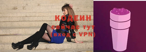 эйфоретик Богданович