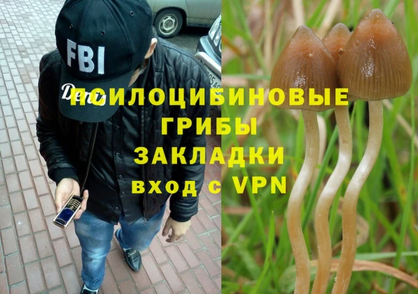 эйфоретик Богданович