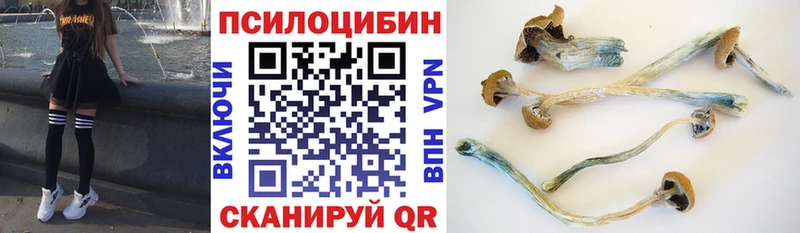 наркошоп  Орск  Псилоцибиновые грибы Psilocybine cubensis 