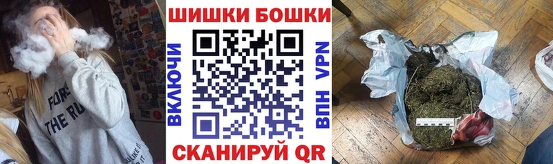 купить наркотики цена  Орск  Конопля сатива 
